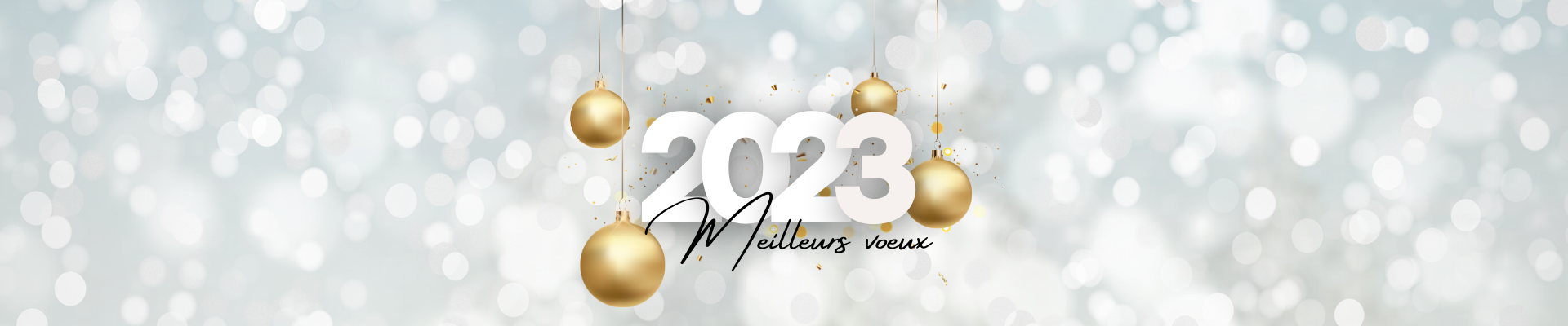 Bonne année 2023  !